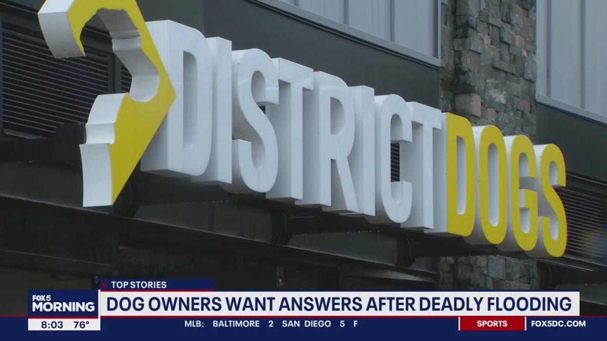Vigil to be held for dogs killed in District Dogs flooding